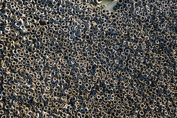 Quels sont les effets des polluants chimiques sur la santé des amphibiens?